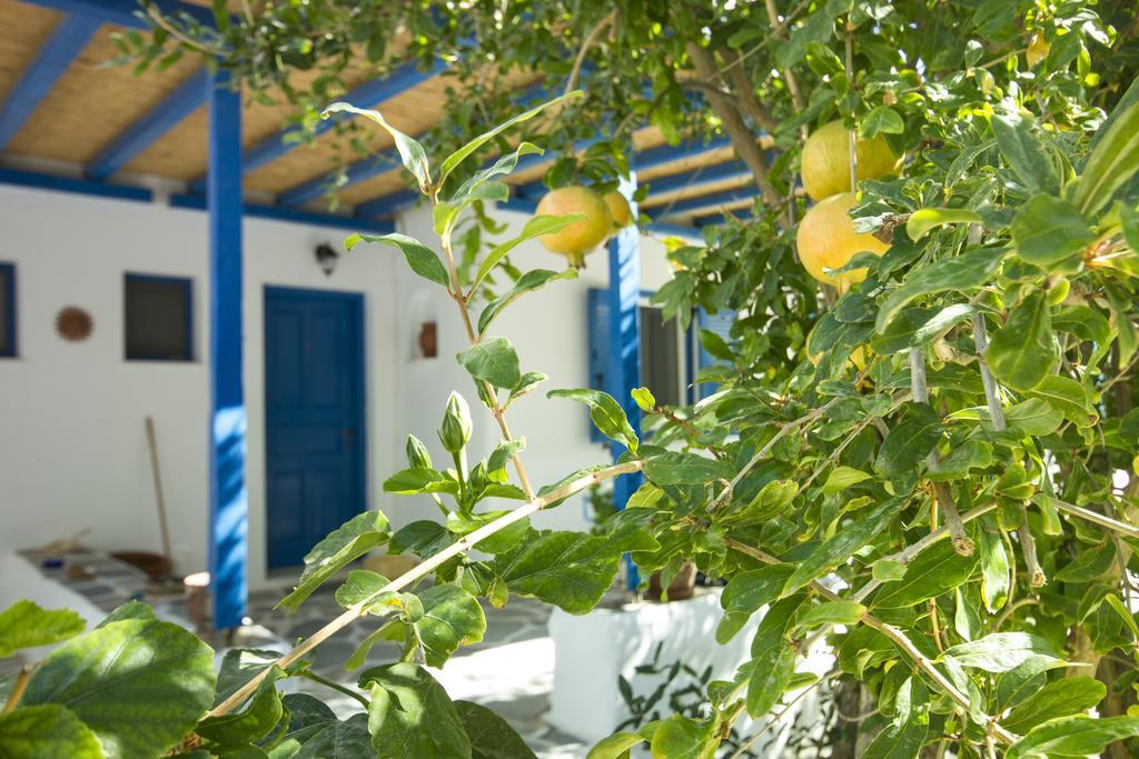 George'S Beach Studios Αλυκή Εξωτερικό φωτογραφία